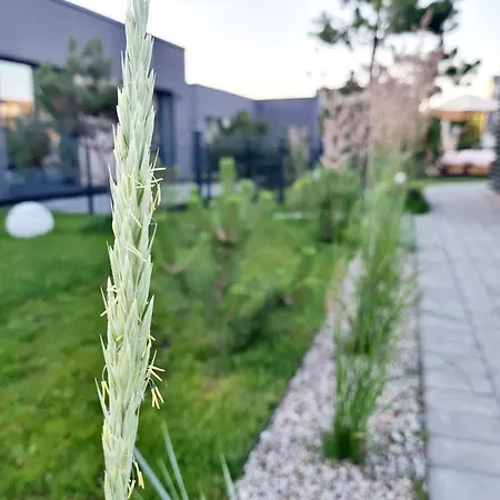 Plush - Mano Jura 2 Kunigiskiai - By Hello Sea Homes Palanga